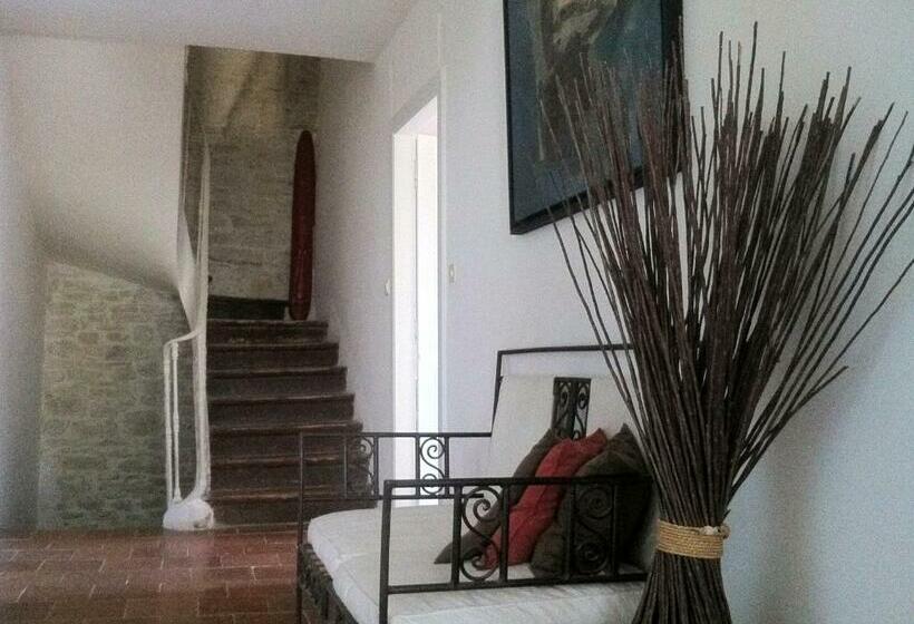 スタンダードルーム, La Cigaline