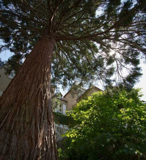 家庭间, Le Fassardy