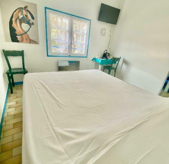 اتاق استاندارد, Oasis