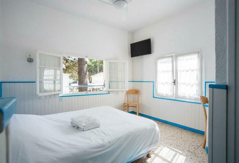 اتاق استاندارد, Oasis