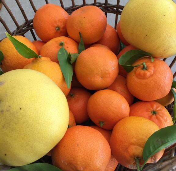 高级大房间, Domaine De L'aufrene