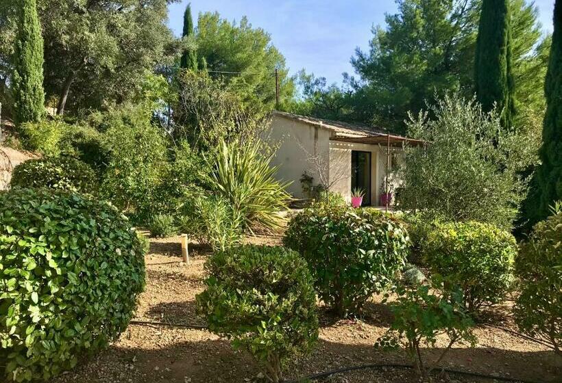 Номер Стандарт, Le Clos De La Chèvre Sud