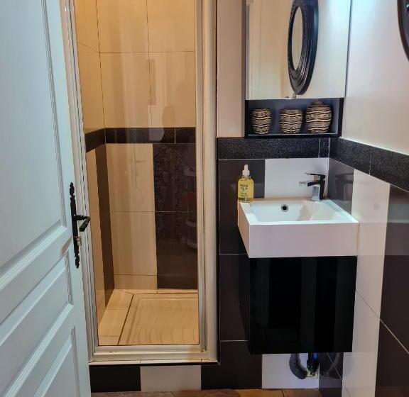 غرفة قياسية, Lyon Faubourg   Saint Priest