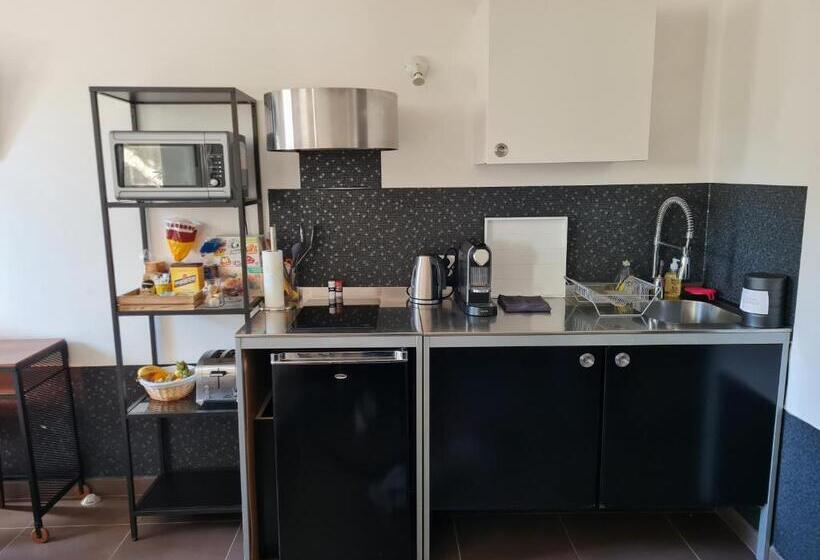 إستوديو قياسى مطلّ علي الحديقة, Lyon Faubourg   Saint Priest