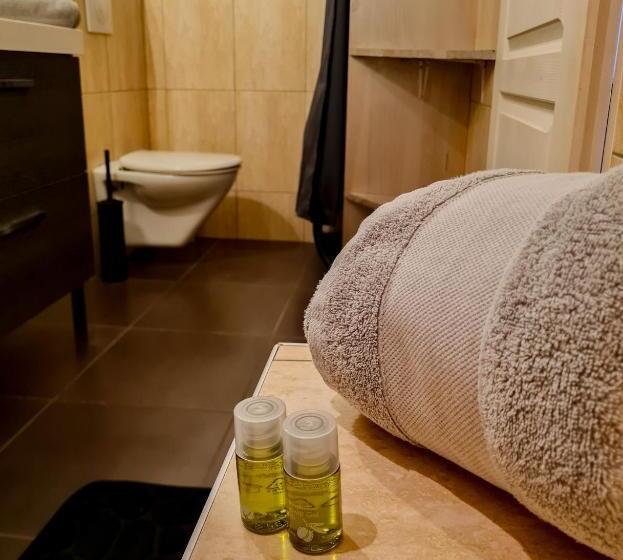 إستوديو قياسى مطلّ علي الحديقة, Lyon Faubourg   Saint Priest