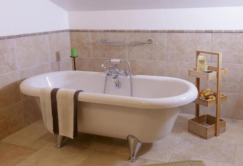 اتاق راحتی سه تخته, The Guest House