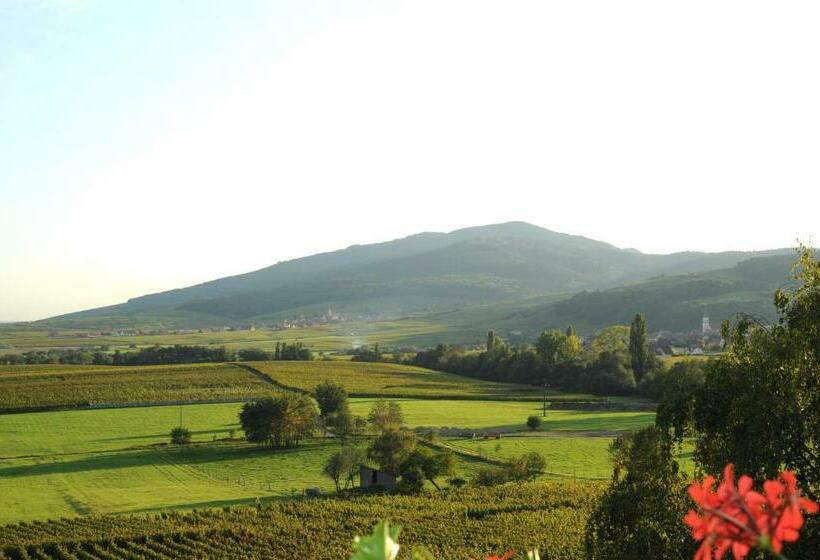 غرفة قياسية ذات إطلالة, Restaurant Faller Emmebuckel