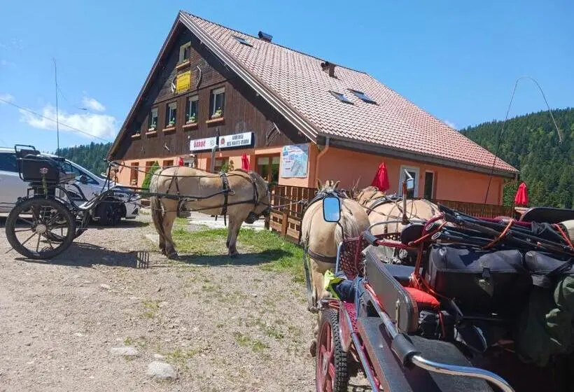 スタンダード４人部屋, Domaine Des Hauts Viaux