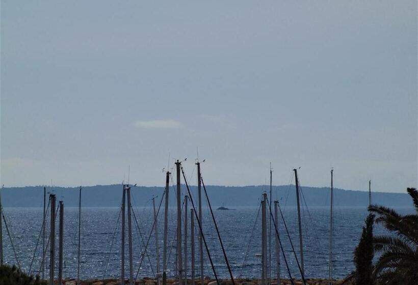 オーシャンビュージュニアスイート, Baptistin