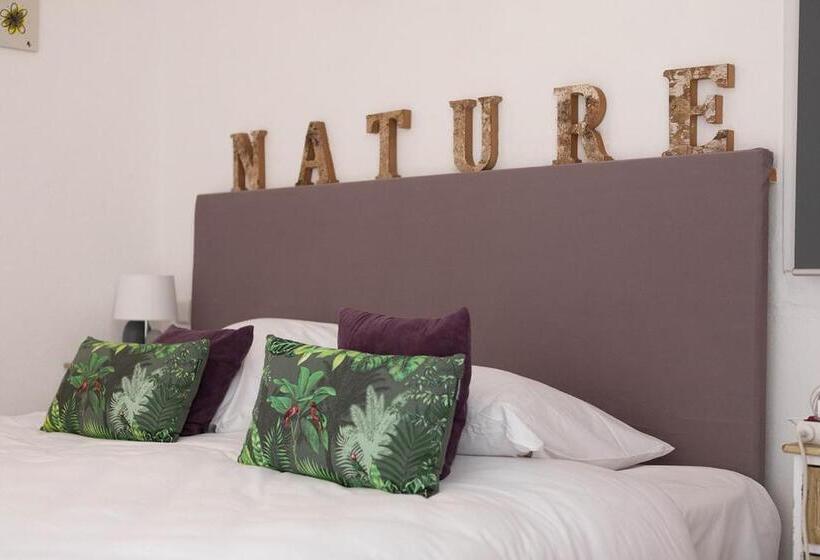 Номер Стандарт, Hôtel L Albatros