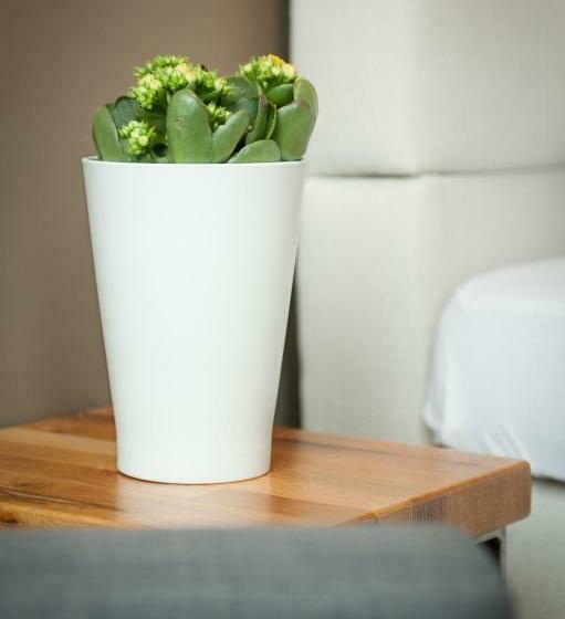 スタンダードルーム, Five Reasons Hostel &