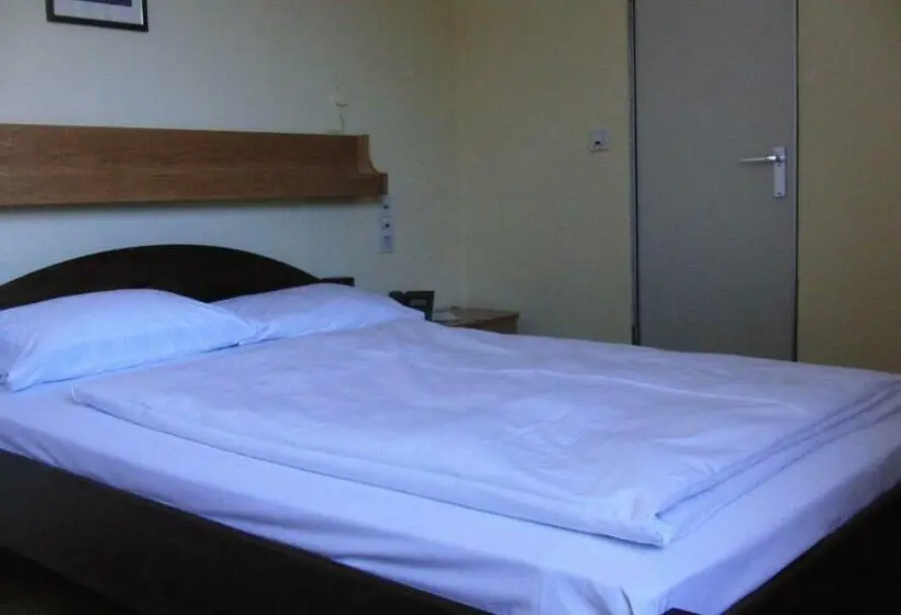 Quarto Estandar, Angerer