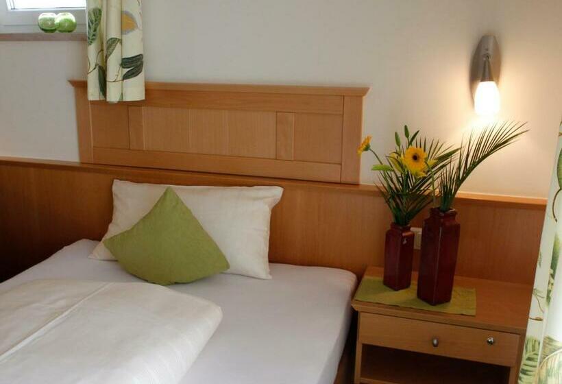 Comfort Single Room, Apart Hotel Pension Roßmayer