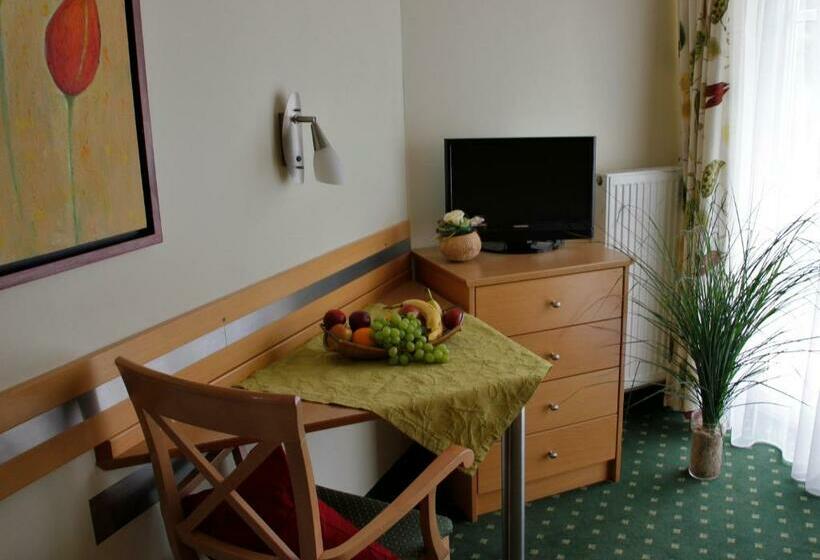 Standard Single Room with Balcony, Apart Hotel Pension Roßmayer