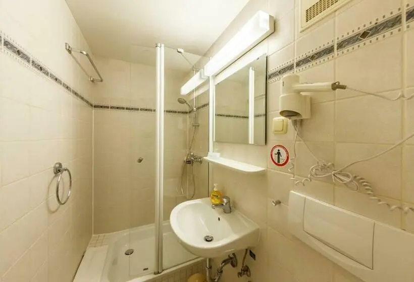 Standard Yhden Hengen Huone, Citypension Dessauroßlau