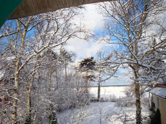 スタンダードルーム, Der Fischländer Garni