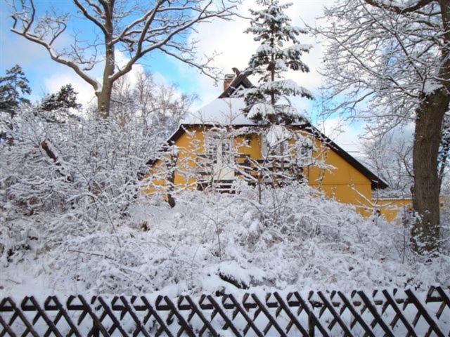 スタンダードルーム, Der Fischländer Garni
