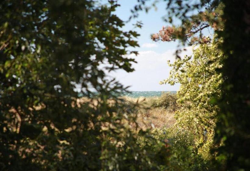 スタンダードルーム, Der Fischländer Garni