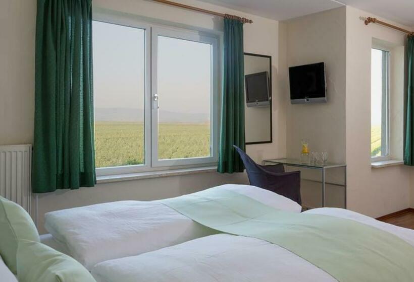 스탠다드 싱글 룸, Eurostrand Resort Moseltal