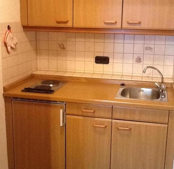 شقة غرفة واحدة مزودة بتراس, Gästehaus Forellenhof