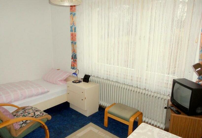 스탠다드 싱글 룸, Haus Hellhohl Garni