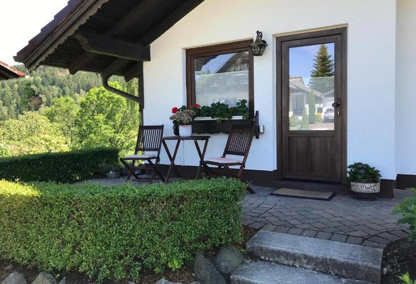 Апартаменты 1 Спальня с Видом, Landhaus Florian