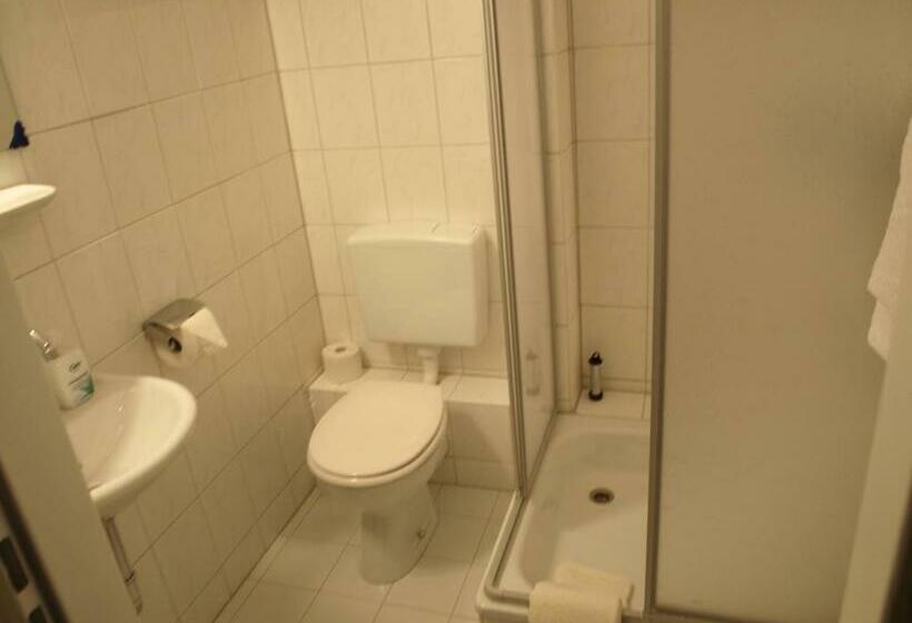 اتاق استاندارد یک نفره, Pension Dorma