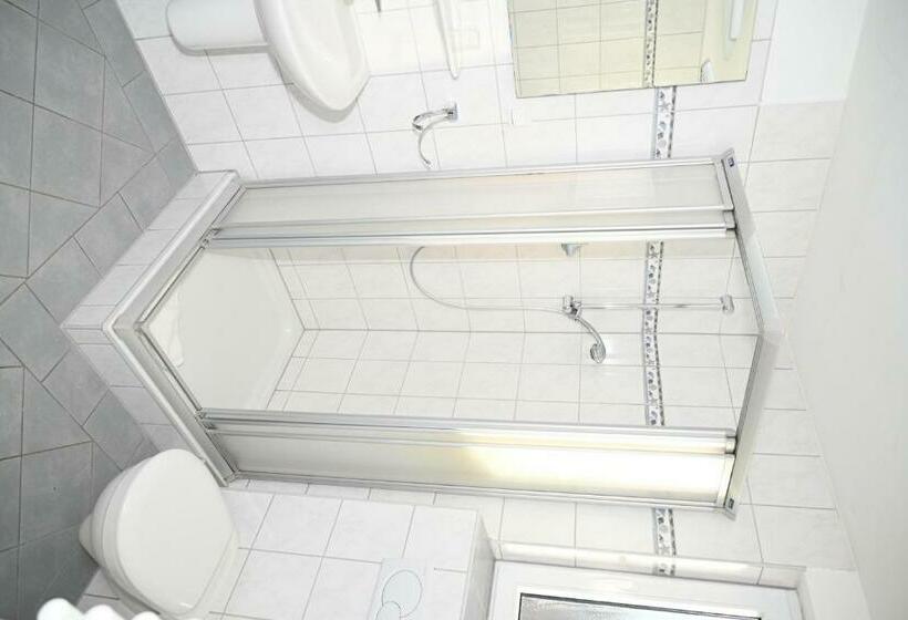 اتاق استاندارد, Passat