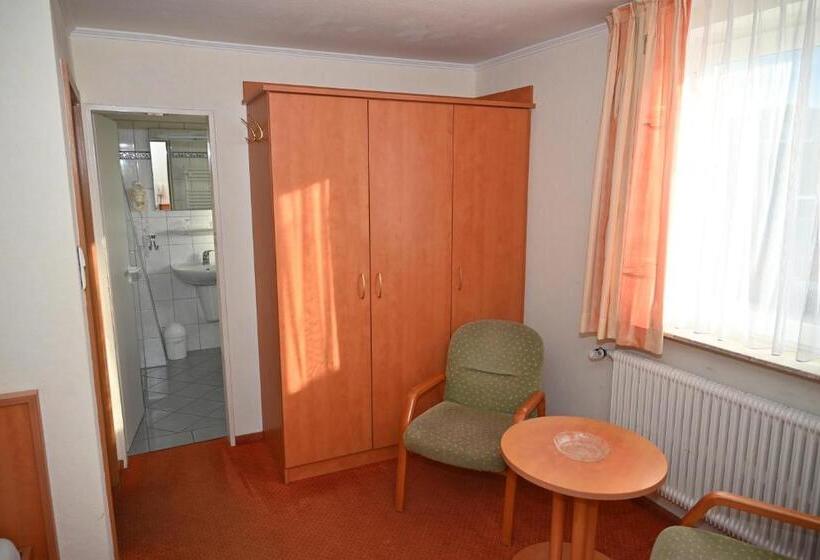 اتاق استاندارد, Passat