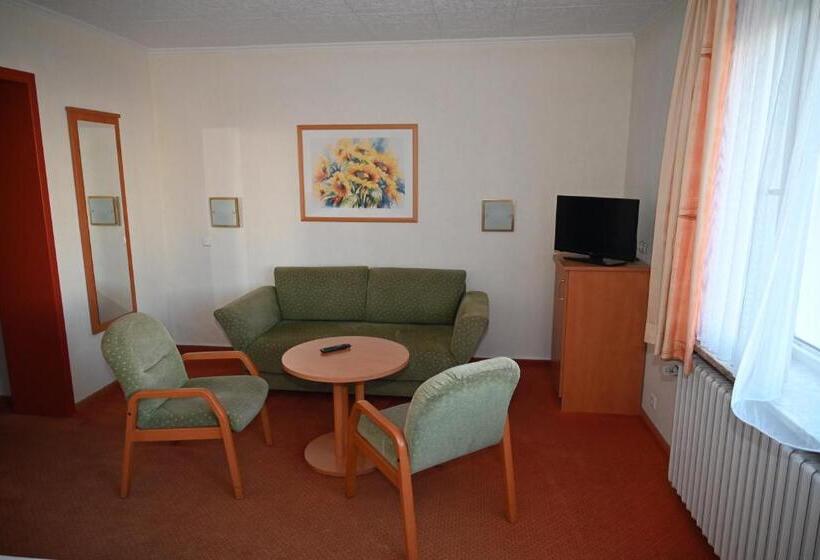 اتاق استاندارد یک نفره, Passat