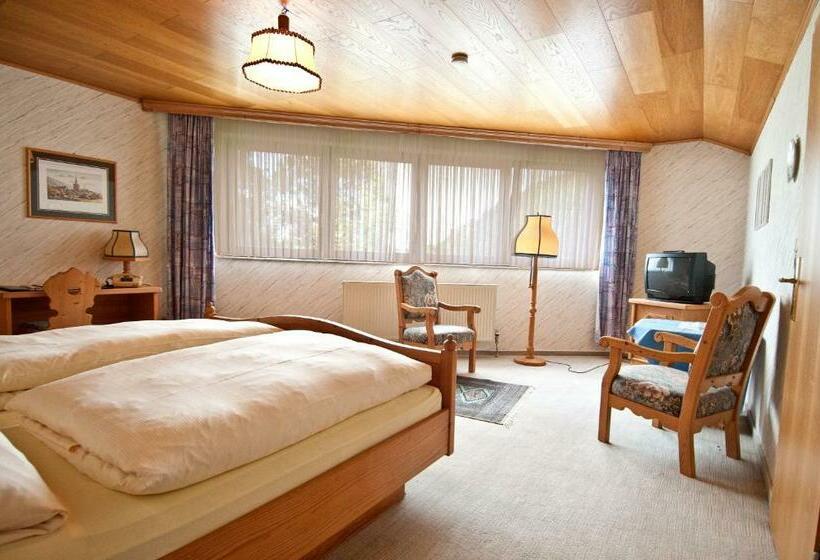 スタンダードシングルルーム, Schauenburg