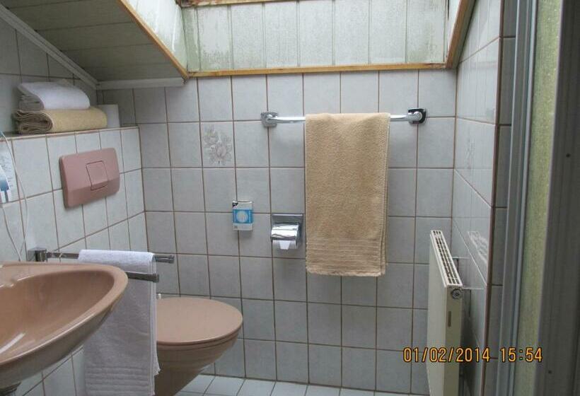 スタンダードシングルルーム, Schauenburg