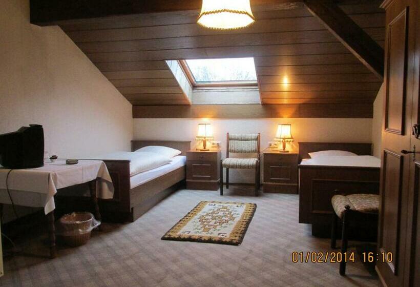 スタンダードシングルルーム, Schauenburg