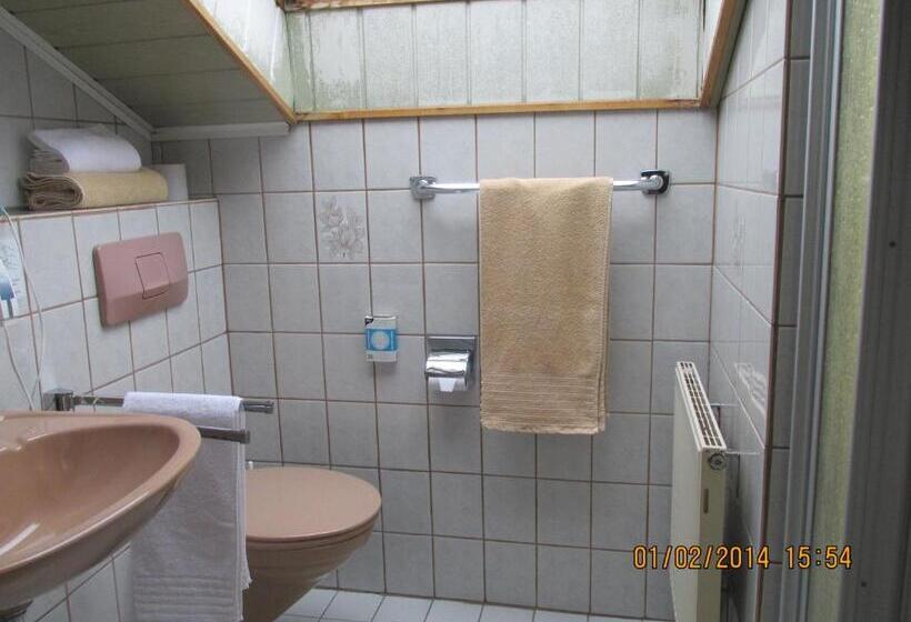 スタンダードルーム, Schauenburg