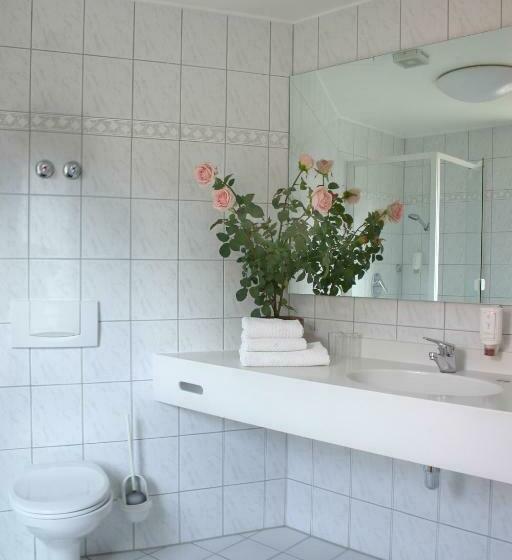 غرفة قياسية, Weinhotel Rose