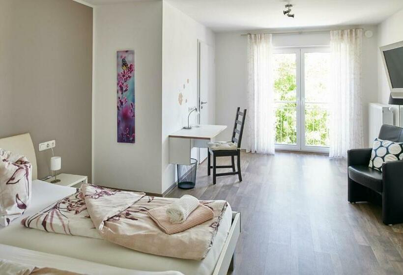 舒适型房间, Schwanenhof Hotel Und Restaurant