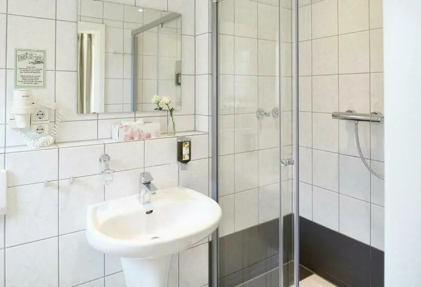 Standard Single Room, Schwanenhof Hotel Und Restaurant