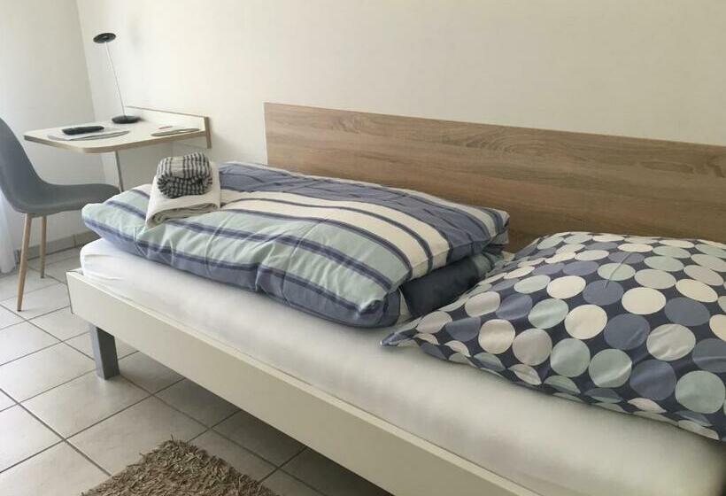 标准单人间, Schwanenhof Hotel Und Restaurant