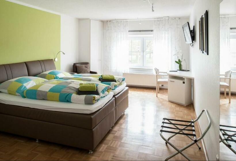 舒适型房间, Schwanenhof Hotel Und Restaurant