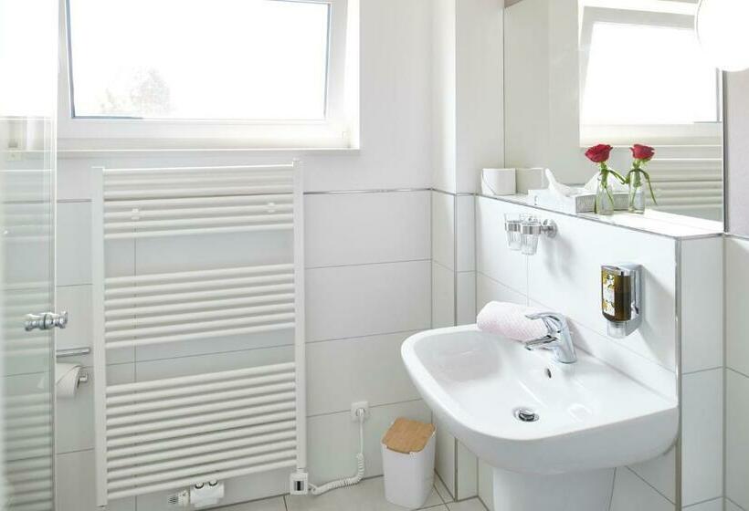 舒适型房间, Schwanenhof Hotel Und Restaurant