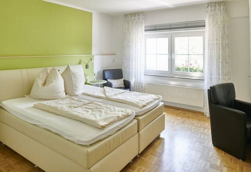 舒适型房间, Schwanenhof Hotel Und Restaurant