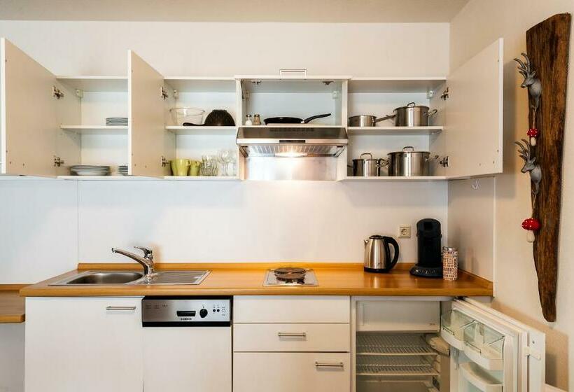 带2个卧室的公寓, Steiger Apparthotel Bad Schandau