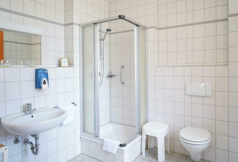 Standard Enkeltværelse, Gasthaus Schutzen