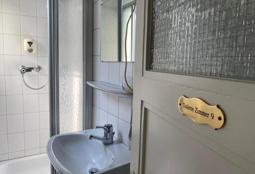 Standard Enkeltværelse, Gasthaus Schutzen