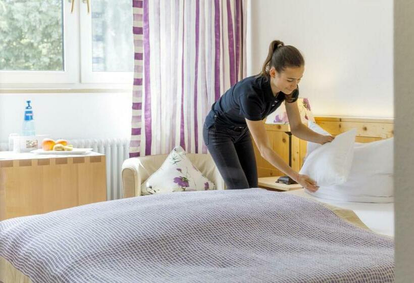 标准间, Schlegelhof