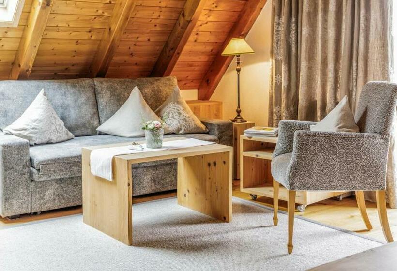 高级大房间, Schlegelhof