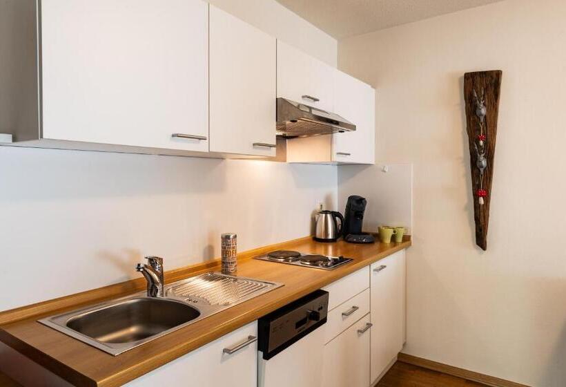 带1个卧室的豪华公寓, Steiger Apparthotel Bad Schandau