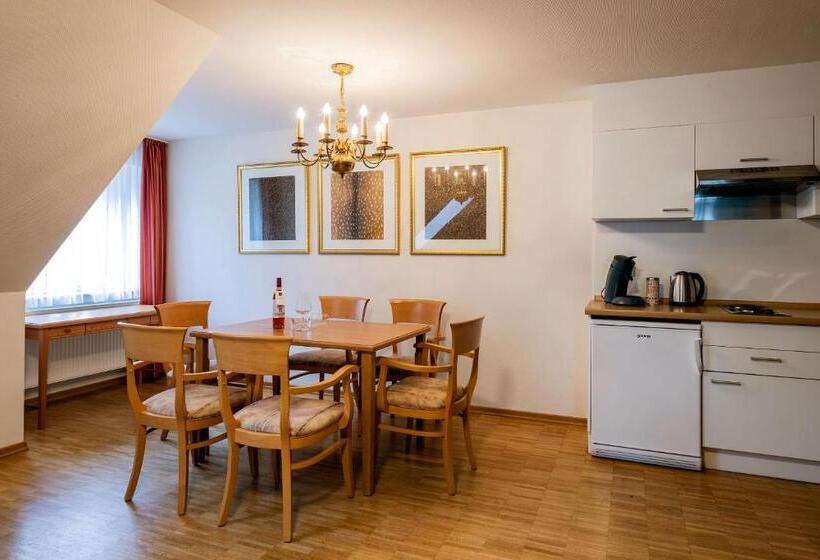 带1个卧室的豪华公寓, Steiger Apparthotel Bad Schandau