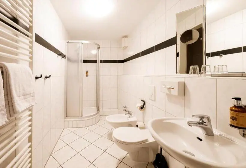 Standard-studio, Steiger Apparthotel Bad Schandau