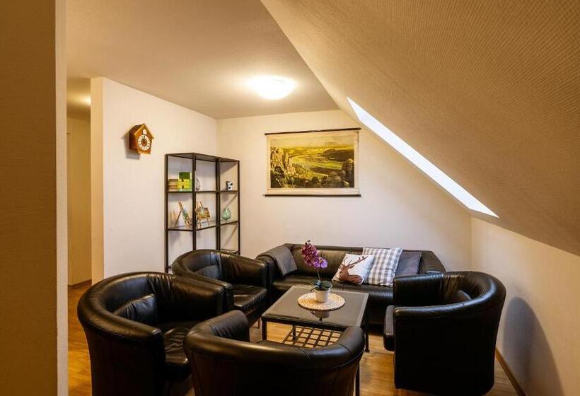 Апартаменты 3 Спальни, Steiger Apparthotel Bad Schandau